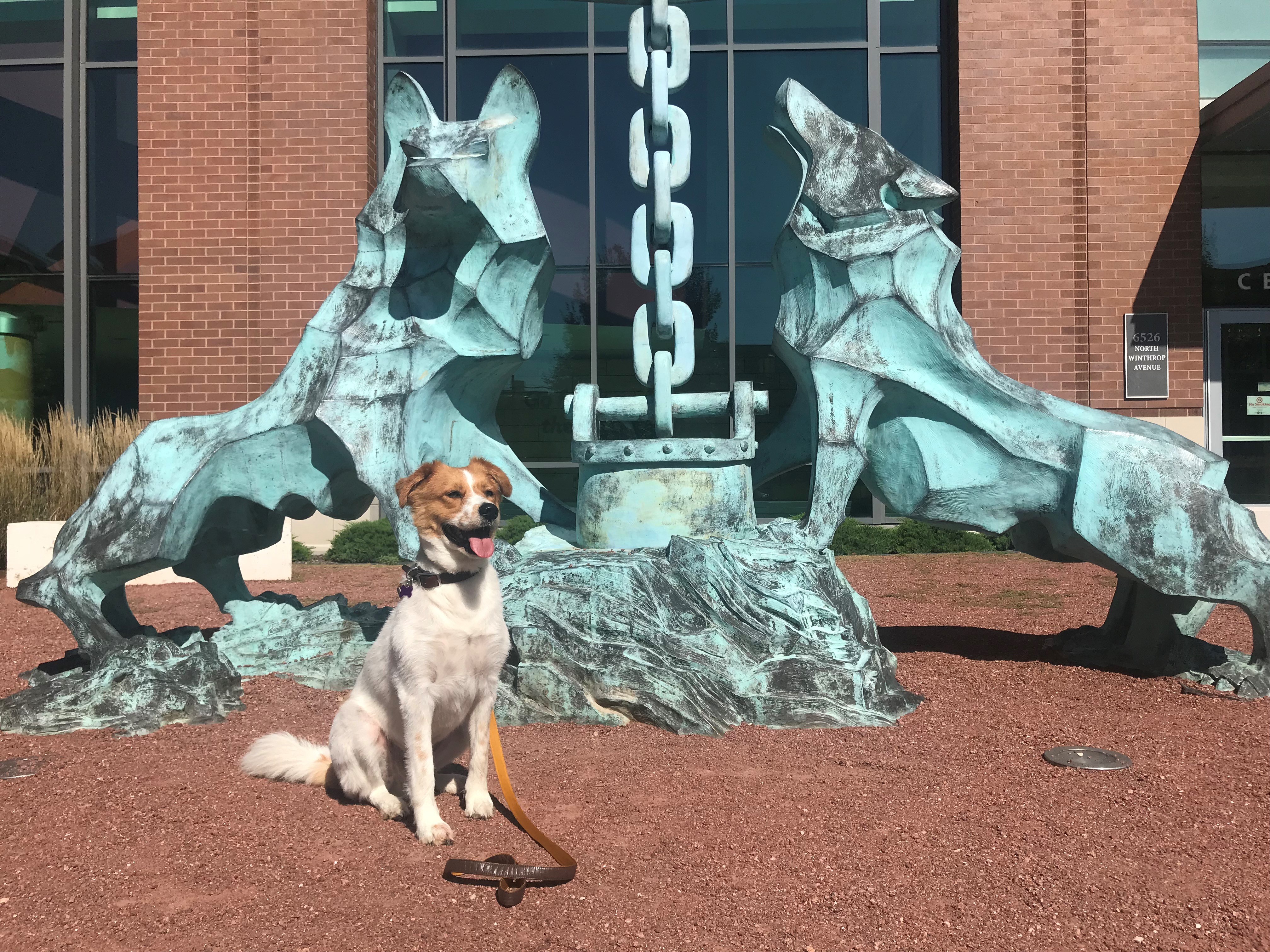 Ashlar, Loyola's therapy dog poses in front of Lake Shore Campus statue.